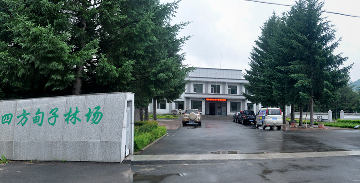 吉林省樺甸林業局1560平